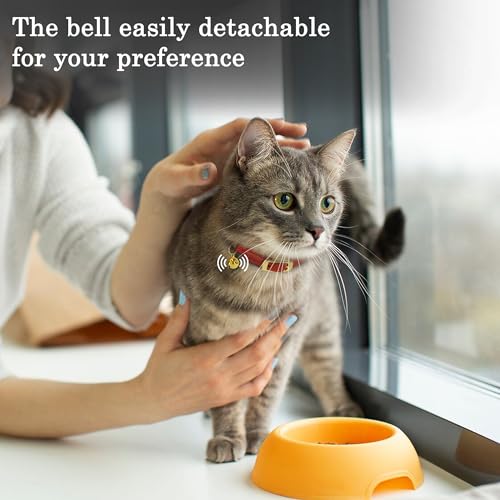 OOPSDOGGY Rolled Leather Cat Collar with Bell - Reflective Kitten Collar with Safety Elastic Strap - Adjustable Small Pet Collars for Boy Girl Cats (Teal) - color: Teal