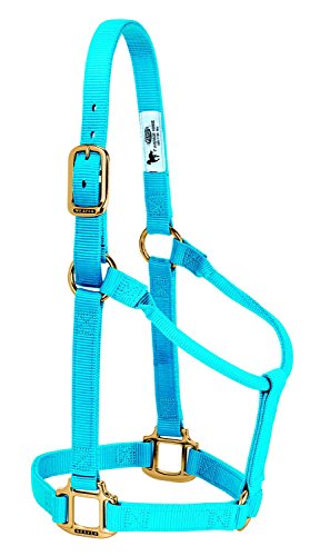 Weaver Leather Original Non-Adjustable Nylon Horse Halter, Large, Hurricane Blue