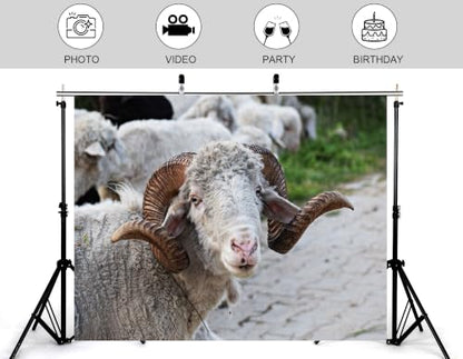 4x4ft Fabric Horned Sheep Portrait Backdrop Curly White Wool Big Brown Horn Rural Dirt Road Green Grass Photography Background Tapestry Party Farm Animal Decorations Photo Booth Props - size: 4x4ft