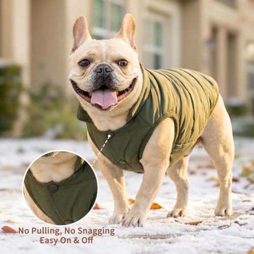 JoyDaog Fleece Lined Dog Jacket for Small Dogs,Winter Dog Coat,Green S - color: Green, size: Small