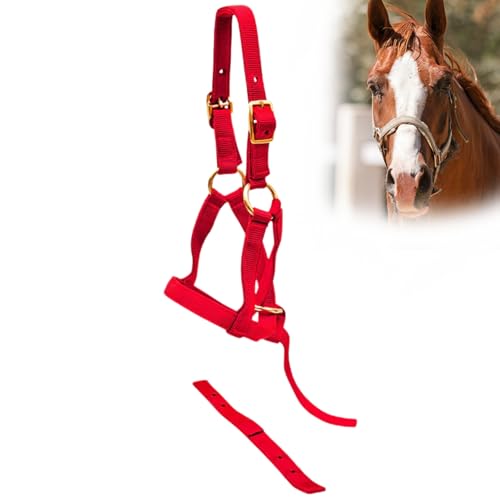 Jeffers Equine Nylon Weanling Halter for Miniature Horses – Adjustable 2 Ply 3/4" Webbing with Brass Plated Hardware, Double Crown Design, Lightweight for Training, Grooming, & Farm Use - Red - color: Red