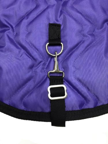 AJ Tack English Padded Saddle Carrier, Water-Resistant 420D Nylon Saddle Bag with Full Zipper Enclosure, Interior Securing Straps, Adjustable Shoulder Strap, Fits Most English Saddles, Purple - color: Purple