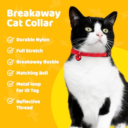 Birdsbesafe Reflective Breakaway Cat Collar with Bell, Safe Design, Red - color: Red