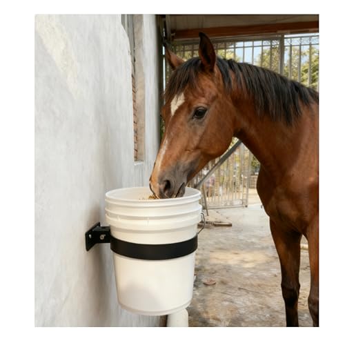 Horse feed bucket holder, wall-mounted, suitable for 5-gallon buckets, for use in horse farms and garages (Black 1 PCS)