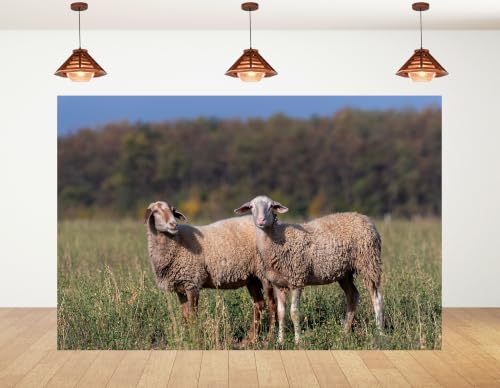 7x5ft Fabric Two Wool Sheep Backdrop Curly Light Fur Green Wild Grass Autumn Woodland Blur Background Photography Background Tapestry Farm Animal Portrait Photo Booth Props - size: 7x5ft