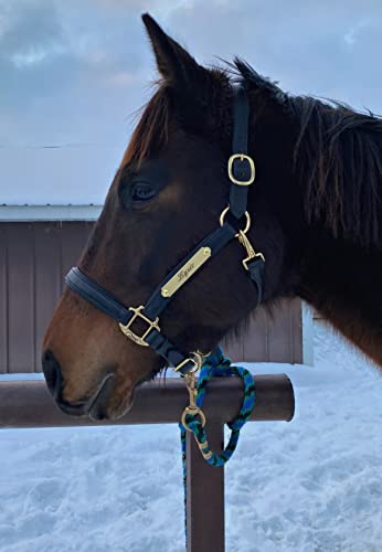 Black Comfy Padded Leather Halter with Solid Brass Hardware & Customized Nameplate- Made in The USA - size: Cobb
