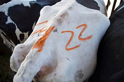 All-Weather Paintstik 61025- Livestock Marker, Highly Visible, Nontoxic Paint for Marking Animal Skin, Hide, Pelt, Wet & Dry- Ideal for Cattle Heat Detection, Blue (12 Pk) Made in USA