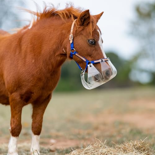 ThinLine Flexible Filly Grazing Muzzle | Lightweight Safe Comfortable Ventilated Equine Slow Feed Halter Mounting Clear Horse Mask, Oversize/Draft, 3.5+cm Hole