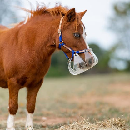 ThinLine Flexible Filly Grazing Muzzle | Lightweight Safe Comfortable Ventilated Equine Slow Feed Halter Mounting Clear Horse Mask, Oversize/Draft, 3.5+cm Hole
