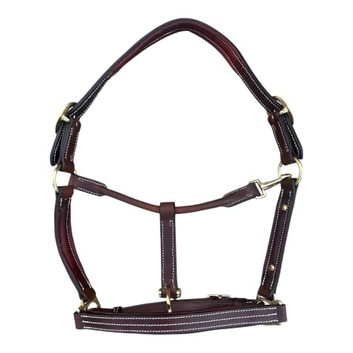 Leaders Premium Padded Leather Horse Halter - Exclusive Pre-Oiled Aniline Leather with Lacquered Solid Brass Hardware & Machined Structural Rings - size: Horse Size with Name Plate