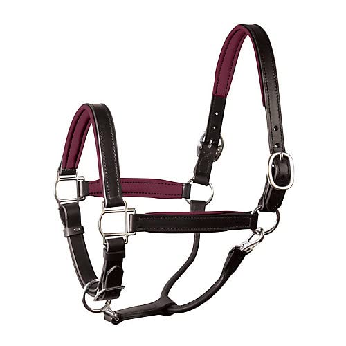 Perri's Soft Padded Leather Halter - color: Black/Burg/SS, size: Cob