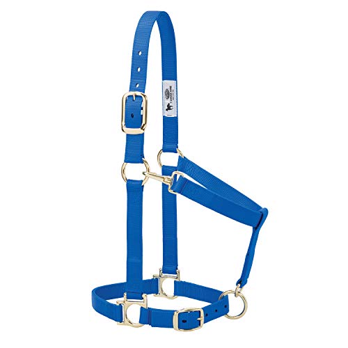 Weaver Leather Basic Adjustable Nylon Halter, Blue, 1" Large Horse - color: Blue, size: 1" Large Horse