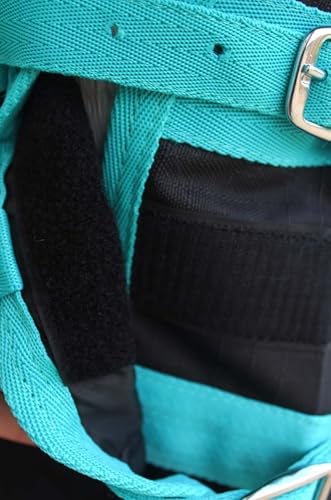 Challenger 1200D Turnout Rain Horse Sheet Light Winter Blanket Gusset 356 - color: Black Turquoise Trim, size: 68 inches