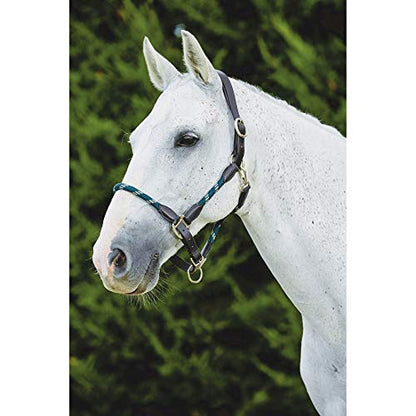 Kincade Leather Rope Halter, Hunter Green/Brown, Full - color: Hunter Green/Brown, size: Full