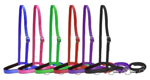 Showman Premium Nylon Noseband Tie Down w/Strap - color: Black