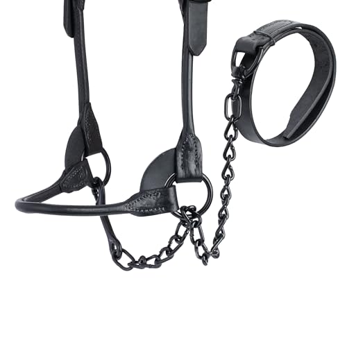 Weaver Livestock Leather Magic Show Cattle Halter, Adjustable, Modern Style Cow Calf Halter, Livestock Handling Equipment for Showing, Black