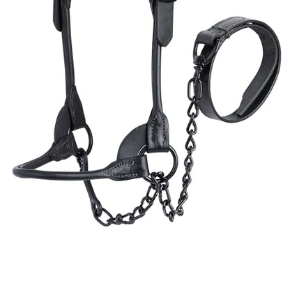 Weaver Livestock Leather Magic Show Cattle Halter, Adjustable, Modern Style Cow Calf Halter, Livestock Handling Equipment for Showing, Black