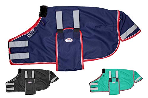Derby Originals Reflective Safety No Hardware Winter Turnout Blanket for Foals & Mini Horses – 1200D Waterproof Ripstop, 150g Insulation, Triple Layer Breathable 210T Lining, 2 Year Warranty - color: Navy Blue, size: Large (42-48")