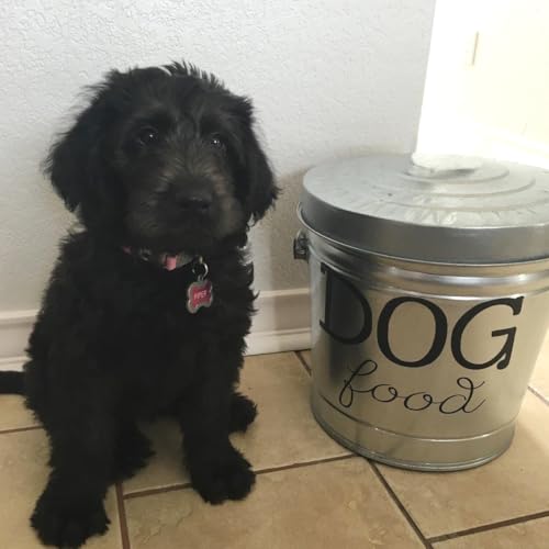 Metal Trash Can with Locking Lid, 6 Gallon Galvanized Steel Bucket - color: Silver