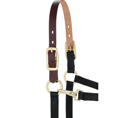 Weaver Equine Breakaway Horse Halter, Supple Leather Crown, Adjustable Chin & Throat Snap Halters for Horses, Equine Tack,Pony Size, Black