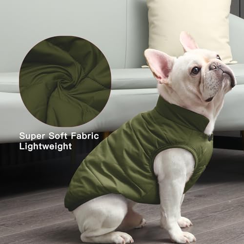 JoyDaog Fleece Lined Dog Jacket for Small Dogs,Winter Dog Coat,Green S - color: Green, size: Small