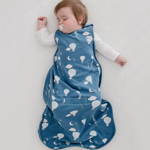 Woolino Toddler Sleeping Bag, 4 Season, Merino Wool and Organic Cotton, Baby Sleep Bag or Sack, 2-4 Years, Hot Air Balloon - color: Hot Air Balloon