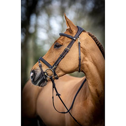 LeMieux Kudos Work Bridle - color: Brown, size: Pony