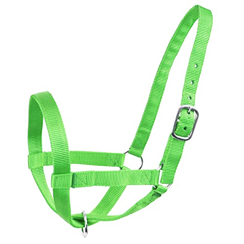 Derby Originals Adjustable Nylon Livestock Cattle Halters - color: Lime Green, size: Small (250-500lbs)