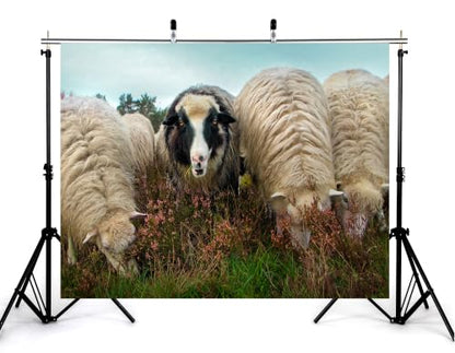 20x10ft Fabric Fluffy Wool Sheep Backdrop Black Faced Sheep Heather Wild Flower Green Moor Grass Overcast Sky for Highland Farm Animal Portrait Decorations Tapestry Photo Booth Props - size: 20x10ft