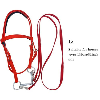 Draft Horse Bridle Anti-Tear Horse Riding Headstall | Equine Snaffle Noseband, Adjustable Soft Lined Equestrian Browband for Outdoor Use - size: Large