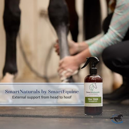 SmartPak OutSmart® Fly Spray | Plant-Based Mosquito, Tick, and Fly Spray Repellent For Horses and Riders | Fresh Scent | 1 Gallon | Plant-Based Mosquito, Tick, and Fly Spray Repellent for Horses and Riders | Fresh Scent
