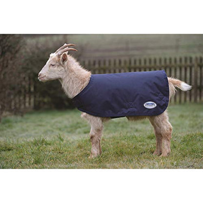 WeatherBeeta Goat Coat, Navy, Extra Small - color: Navy, size: XS
