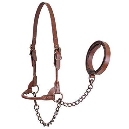 Derby Originals Bronze Beauty Premium Round Rolled Leather Cattle Show Halter with Matching Chain Lead - color: Chestnut, size: Medium (650-1050lbs)