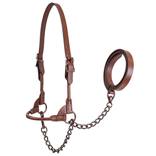Derby Originals Bronze Beauty Premium Round Rolled Leather Cattle Show Halter with Matching Chain Lead - color: Chestnut, size: Large (950lbs-1500lbs)