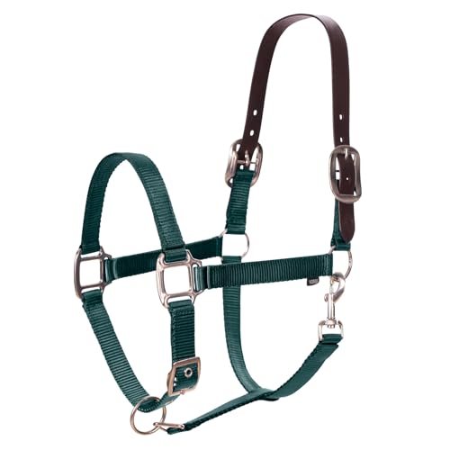 Equinavia Loki Adjustable Breakaway Horse Halter - Hunter Green - Cob - color: Hunter Green, size: Cob