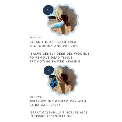 Corazón Therapeutics Equine Wound Care Kit, 3-Part Treatment System with Salve, Spray and Oral Solution