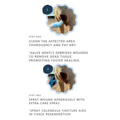 Corazón Therapeutics Equine Wound Care Kit, 3-Part Treatment System with Salve, Spray and Oral Solution