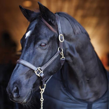 Country Pride Aurora Fancy Stitched Padded Leather Halter with Matching Lead - color: Brown, size: Cob