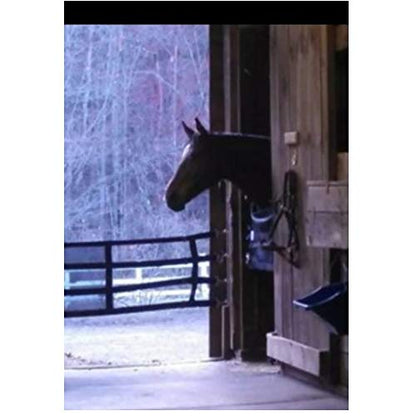Dura-Tech Aisle Guard | Color Black | Expands 10' to 12' | High Visibility Nylon Mesh | Promotes Maximum Airflow | Comes with Installation Kit Quality - color: Black