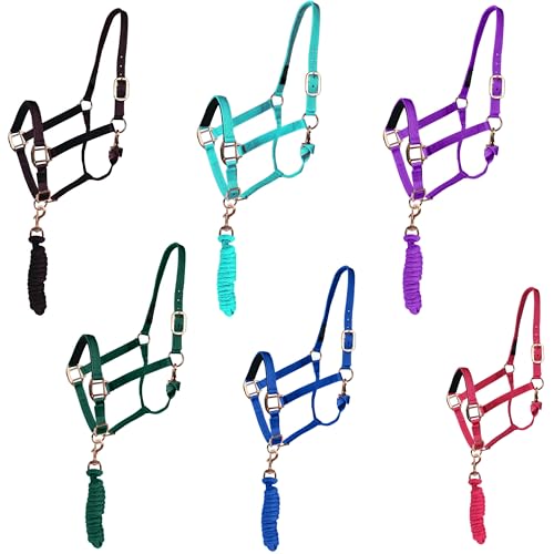 Majestic Ally Halter with Lead Rope for Horses–Adjustable Chin and Crown–Rolled Throat Latch with Replaceable Snap–Padded Noseband–Heavy Duty Rose Gold Finish Hardware - color: Purple