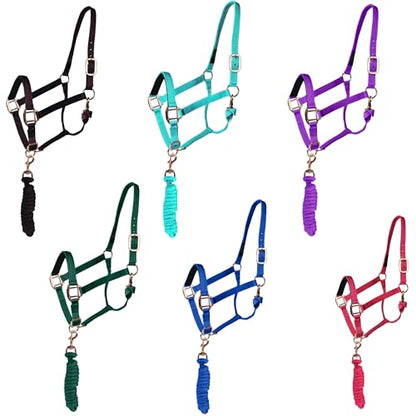 Majestic Ally Halter with Lead Rope for Horses–Adjustable Chin and Crown–Rolled Throat Latch with Replaceable Snap–Padded Noseband–Heavy Duty Rose Gold Finish Hardware - color: Purple