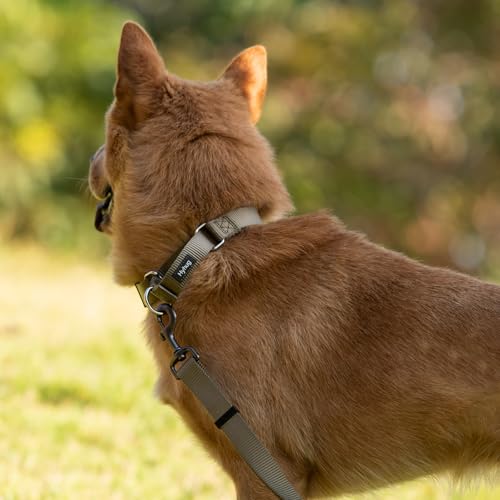 Hyhug Martingale Collar for Dogs Small Green |Escape - Proof Heavy Duty Nylon Durable No Buckle, Ideal for Training & Daily Walks | Heavy-duty nylon delivers gentle control for puppies. Ideal for training and park walks. Adjustable, comfortable, and secur