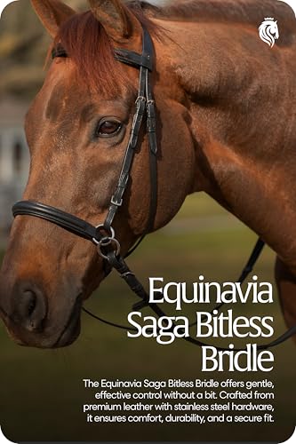 Equinavia Saga Leather Horse English Bridle, Stainless Steel Hardware Reins - color: Black, size: Warmblood