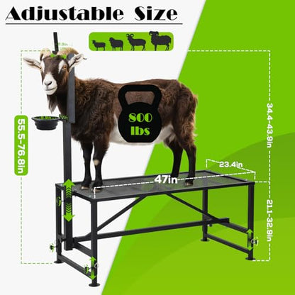 800 LBs Goat Stand with Feed Bin, Adjustable Size Goat Milking Stand