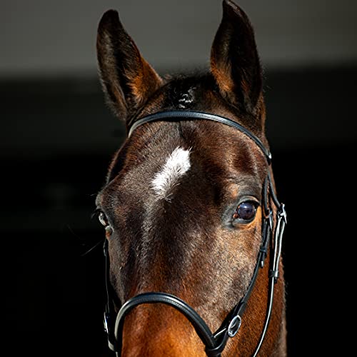 HORZE Genuine Leather Cross-Under Bitless Bridle | Includes Web Reins with Hand Stops - size: Pony