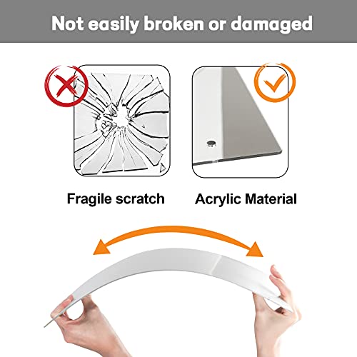 Sukh Acrylic Horse Mirror - 16.92 x 12.99 in Non Glass Stall Mirror