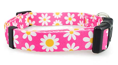Limeloot Pink Daisy Dog Collar, Spring Summer Dog Collar for Female Dogs, Medium - color: Pink Daisy, size: Medium