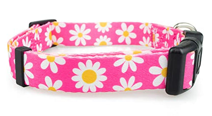 Limeloot Pink Daisy Dog Collar, Spring Summer Dog Collar for Female Dogs, Medium - color: Pink Daisy, size: Medium
