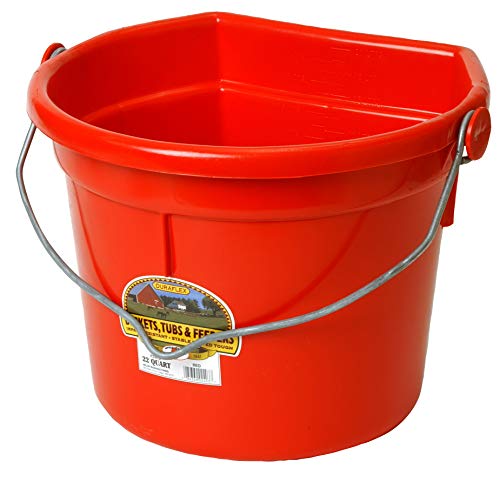 Little Giant® Plastic Animal Feed Bucket | Flat Back Feed Bucket with Knob Ball & Metal Handle | Made in USA | 22 Quarts | Red - color: Red