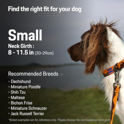 Charlie’s Backyard Teton Dog Collar, Urban to Trail Lightweight & Adjustable with Quick Release DURAFLEX Buckle, Durable D-Ring & All-Day Comfort, Sunset Peaks, Small - color: Sunset Peaks, size: Small